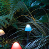Kép 3/3 - LED-es szolár lámpa - 12 db mini gomba - színes - 28,5 cm x 4 cm