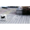 Kép 9/13 - Automata kutya póráz - 8 m - max. 50 kg - fekete