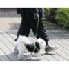 Kép 11/13 - Automata kutya póráz - 8 m - max. 50 kg - fekete