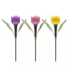 Kép 2/6 - LED-es szolár tulipánlámpa