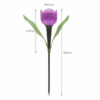 Kép 5/7 - LED-es szolár tulipánlámpa - 12 darab
