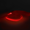 Kép 3/4 - LED-es póráz - piros