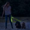 Kép 1/4 - LED-es póráz - akkumulátoros - 120 x 2,5 cm - zöld