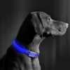 Kép 2/4 - LED-es nyakörv - akkumulátoros - S méret - kék