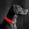 Kép 2/4 - LED-es nyakörv - akkumulátoros - S méret - piros