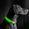 Kép 2/4 - LED-es nyakörv - akkumulátoros - S méret - zöld