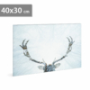 Kép 1/2 - LED-es fali hangulatkép - rénszarvas - 2 x AA, 40 x 30 cm