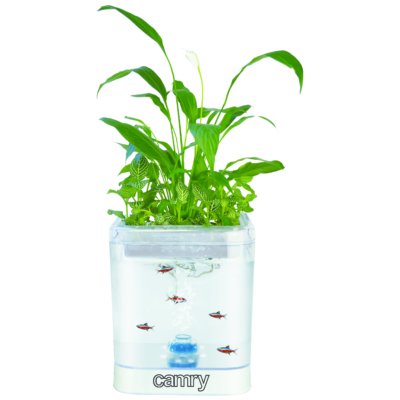 Camry akvárium-virágtartó szett fehér LED megvilágítással, levegőztetővel és szűrővel